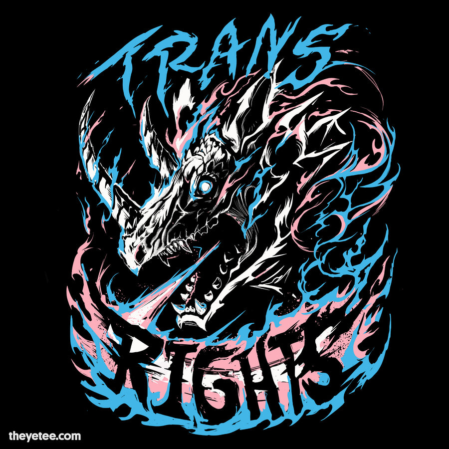TRANS RIGHTS!!! | TRANS RIGHTS!!!